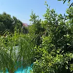 Flora Boheme Butik Hotel 5*