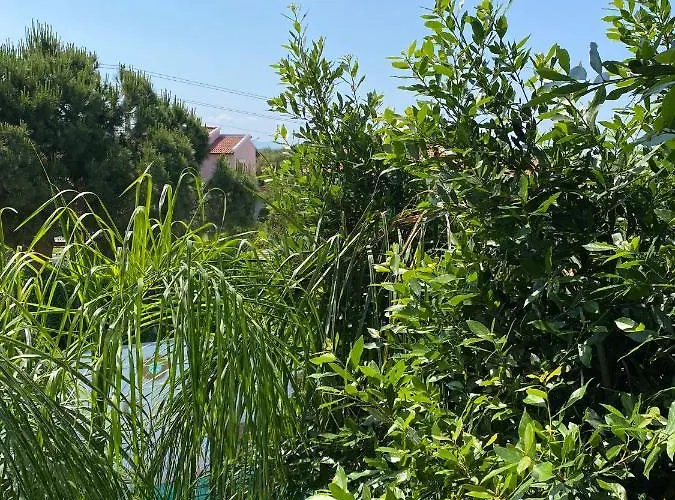 Flora Boheme Butik Hotel *