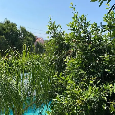 Flora Boheme Butik מלון 5*